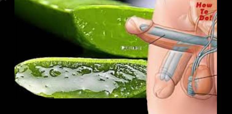 Cara Menggunakan Lidah Buaya