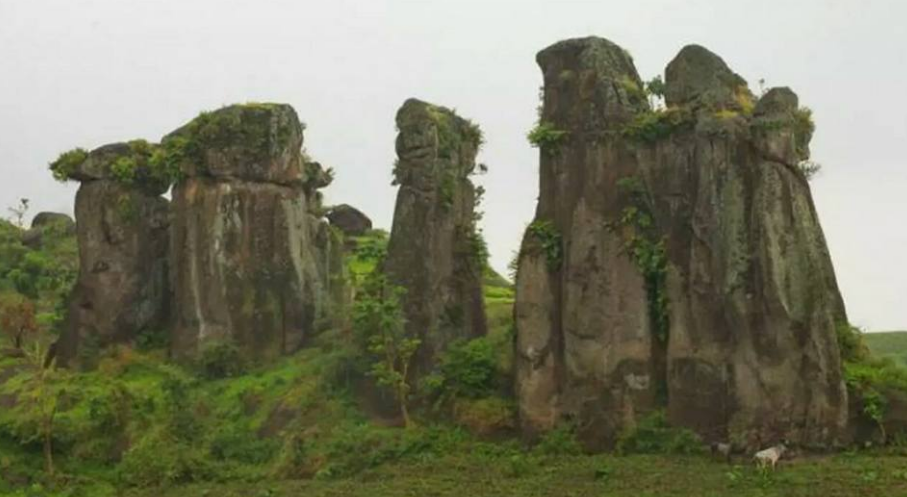 Travel Bondowoso Surabaya