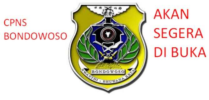CPNS Bondowoso Terbaru